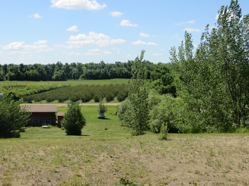 Orchard View Bed And Breakfast Moose Jaw Dış mekan fotoğraf