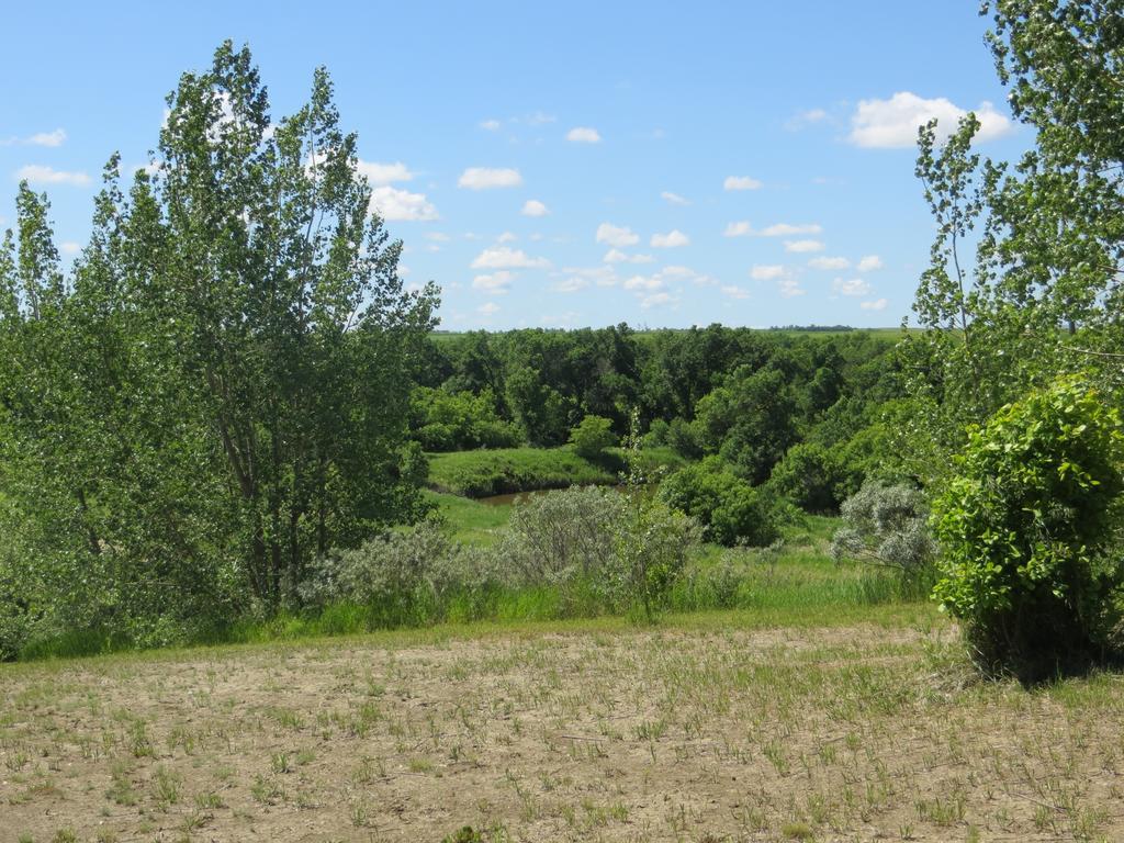 Orchard View Bed And Breakfast Moose Jaw Dış mekan fotoğraf